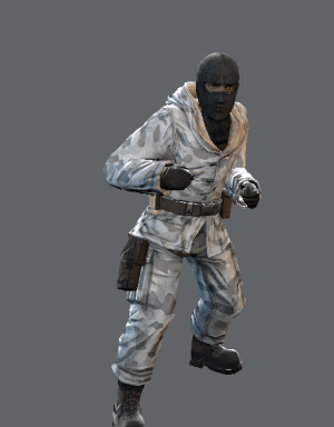 css_arctic