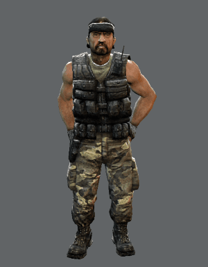 css_guerilla